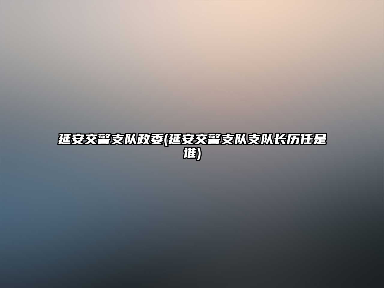 延安交警支隊(duì)政委(延安交警支隊(duì)支隊(duì)長歷任是誰)