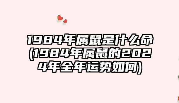 1984年屬鼠是什么命(1984年屬鼠的2024年全年運勢如何)