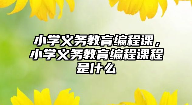 小學(xué)義務(wù)教育編程課，小學(xué)義務(wù)教育編程課程是什么