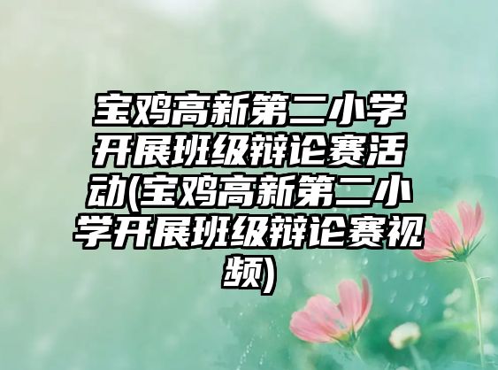 寶雞高新第二小學(xué)開展班級辯論賽活動(寶雞高新第二小學(xué)開展班級辯論賽視頻)