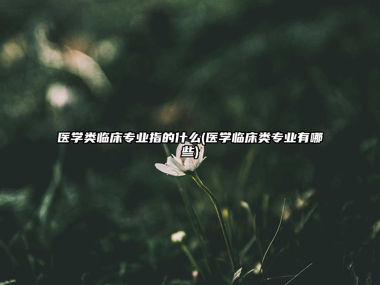 醫(yī)學(xué)類(lèi)臨床專(zhuān)業(yè)指的什么(醫(yī)學(xué)臨床類(lèi)專(zhuān)業(yè)有哪些)