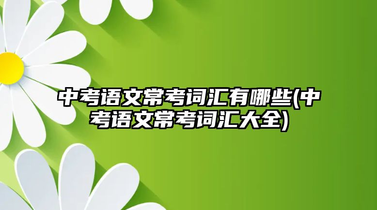 中考語文?？荚~匯有哪些(中考語文常考詞匯大全)