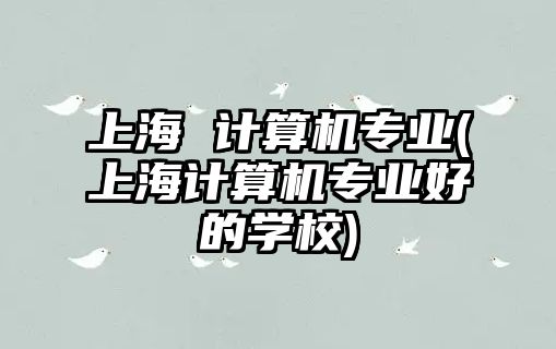 上海 計算機專業(yè)(上海計算機專業(yè)好的學校)