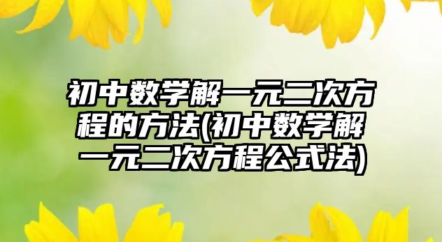 初中數(shù)學解一元二次方程的方法(初中數(shù)學解一元二次方程公式法)