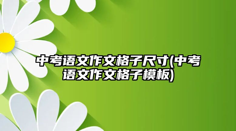 中考語文作文格子尺寸(中考語文作文格子模板)