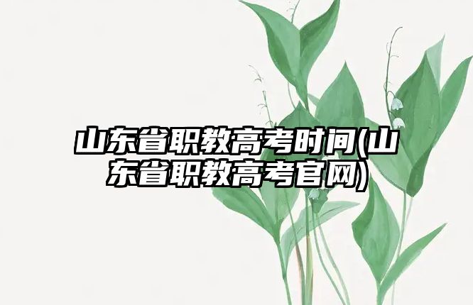 山東省職教高考時(shí)間(山東省職教高考官網(wǎng))