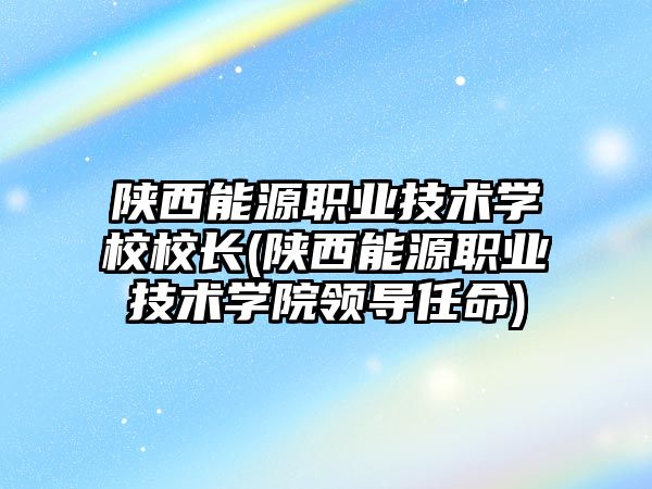 陜西能源職業(yè)技術學校校長(陜西能源職業(yè)技術學院領導任命)