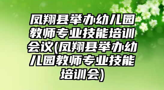 鳳翔縣舉辦幼兒園教師專業(yè)技能培訓會議(鳳翔縣舉辦幼兒園教師專業(yè)技能培訓會)