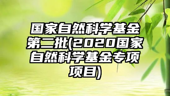 國(guó)家自然科學(xué)基金第二批(2020國(guó)家自然科學(xué)基金專項(xiàng)項(xiàng)目)