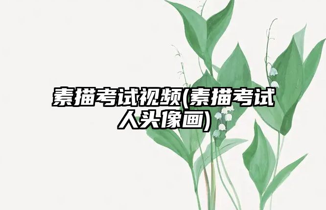 素描考試視頻(素描考試人頭像畫(huà))