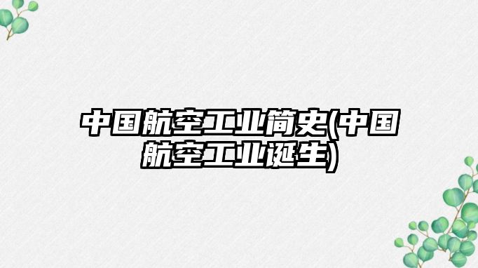 中國(guó)航空工業(yè)簡(jiǎn)史(中國(guó)航空工業(yè)誕生)