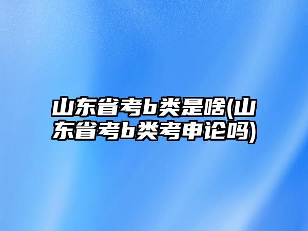 山東省考b類是啥(山東省考b類考申論嗎)