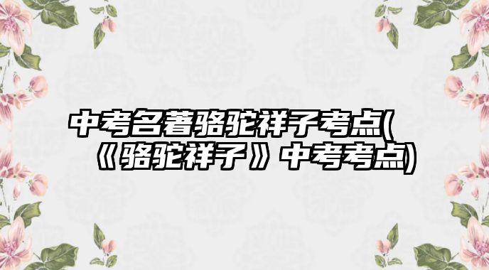 中考名著駱駝祥子考點(《駱駝祥子》中考考點)