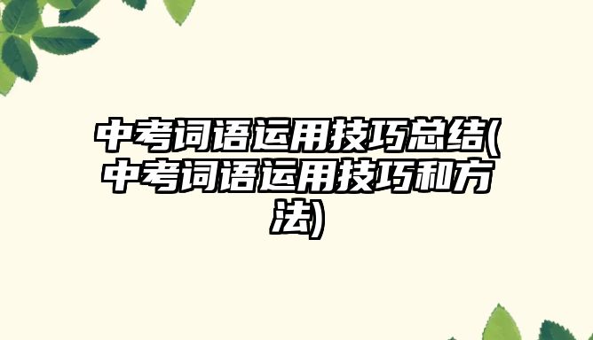 中考詞語運用技巧總結(jié)(中考詞語運用技巧和方法)