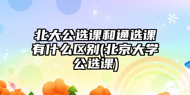 北大公選課和通選課有什么區(qū)別(北京大學(xué)公選課)