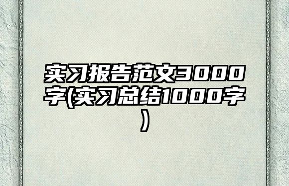 實(shí)習(xí)報(bào)告范文3000字(實(shí)習(xí)總結(jié)1000字)