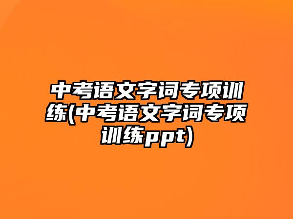 中考語文字詞專項訓(xùn)練(中考語文字詞專項訓(xùn)練ppt)