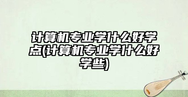 計算機(jī)專業(yè)學(xué)什么好學(xué)點(diǎn)(計算機(jī)專業(yè)學(xué)什么好學(xué)些)