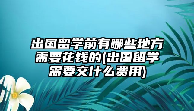 出國留學前有哪些地方需要花錢的(出國留學需要交什么費用)