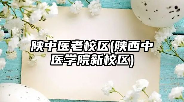 陜中醫(yī)老校區(qū)(陜西中醫(yī)學(xué)院新校區(qū))