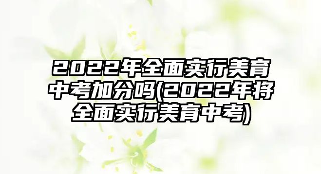 2022年全面實行美育中考加分嗎(2022年將全面實行美育中考)