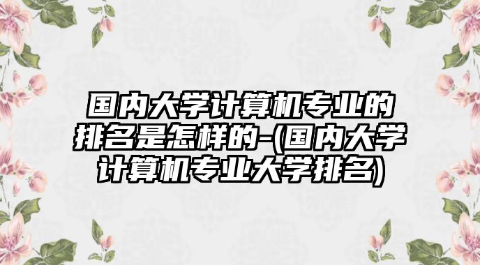 國(guó)內(nèi)大學(xué)計(jì)算機(jī)專業(yè)的排名是怎樣的-(國(guó)內(nèi)大學(xué)計(jì)算機(jī)專業(yè)大學(xué)排名)