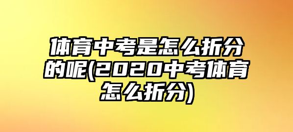 體育中考是怎么折分的呢(2020中考體育怎么折分)