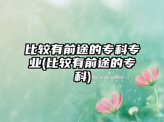 比較有前途的?？茖I(yè)(比較有前途的?？?