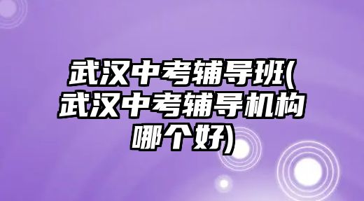 武漢中考輔導(dǎo)班(武漢中考輔導(dǎo)機(jī)構(gòu)哪個好)