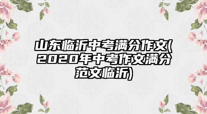 山東臨沂中考滿分作文(2020年中考作文滿分范文臨沂)