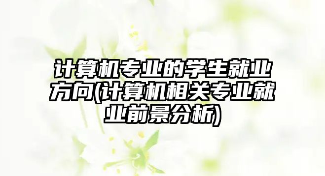 計(jì)算機(jī)專業(yè)的學(xué)生就業(yè)方向(計(jì)算機(jī)相關(guān)專業(yè)就業(yè)前景分析)