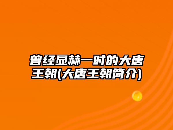 曾經(jīng)顯赫一時的大唐王朝(大唐王朝簡介)