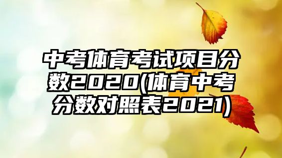 中考體育考試項目分數(shù)2020(體育中考分數(shù)對照表2021)