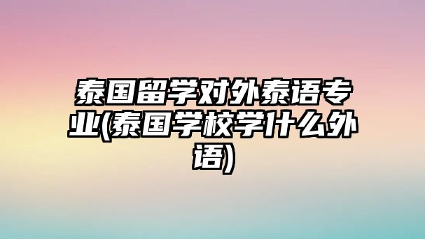 泰國(guó)留學(xué)對(duì)外泰語(yǔ)專業(yè)(泰國(guó)學(xué)校學(xué)什么外語(yǔ))