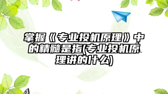 掌握《專業(yè)投機(jī)原理》中的精髓是指(專業(yè)投機(jī)原理講的什么)