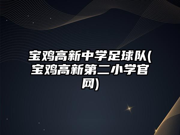 寶雞高新中學足球隊(寶雞高新第二小學官網(wǎng))