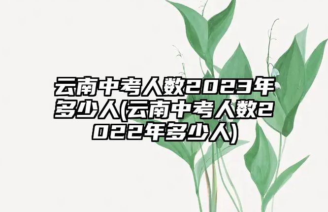 云南中考人數(shù)2023年多少人(云南中考人數(shù)2022年多少人)