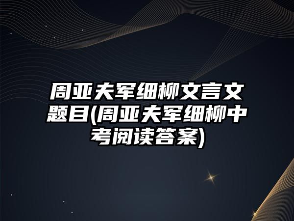 周亞夫軍細(xì)柳文言文題目(周亞夫軍細(xì)柳中考閱讀答案)