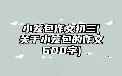 小籠包作文初三(關(guān)于小籠包的作文600字)