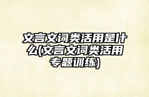 文言文詞類活用是什么(文言文詞類活用專題訓練)