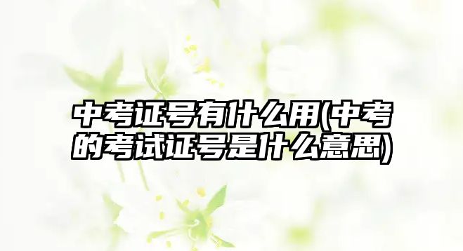 中考證號有什么用(中考的考試證號是什么意思)