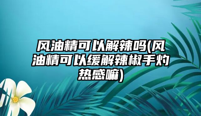 風(fēng)油精可以解辣嗎(風(fēng)油精可以緩解辣椒手灼熱感嘛)