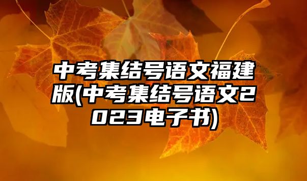 中考集結(jié)號(hào)語文福建版(中考集結(jié)號(hào)語文2023電子書)