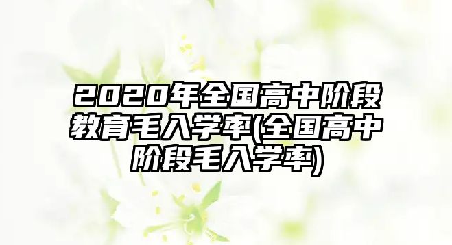 2020年全國高中階段教育毛入學(xué)率(全國高中階段毛入學(xué)率)