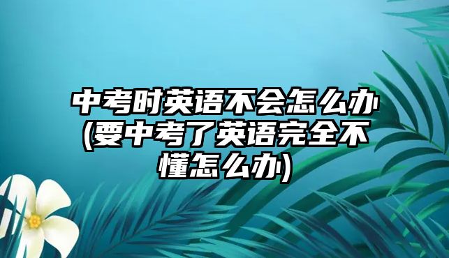 中考時英語不會怎么辦(要中考了英語完全不懂怎么辦)