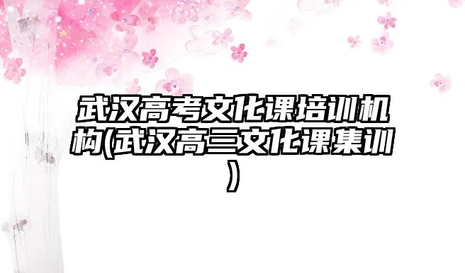 武漢高考文化課培訓機構(gòu)(武漢高三文化課集訓)