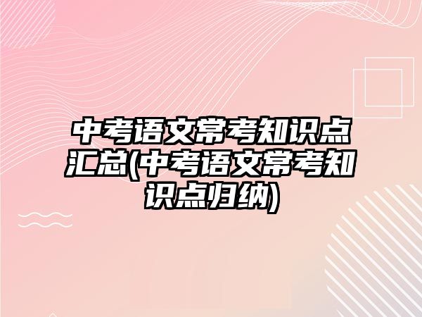 中考語文?？贾R點匯總(中考語文常考知識點歸納)