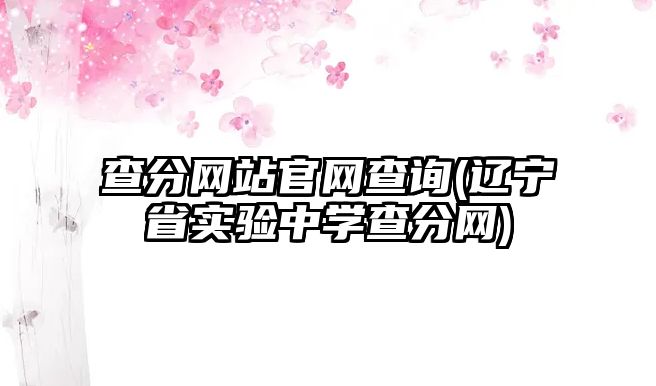 查分網站官網查詢(遼寧省實驗中學查分網)