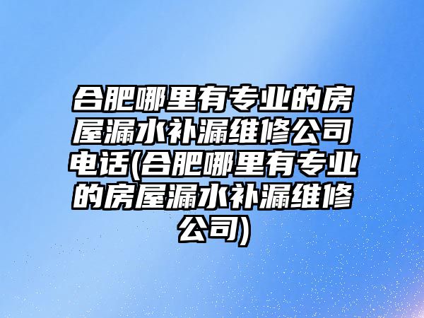 合肥哪里有專業(yè)的房屋漏水補(bǔ)漏維修公司電話(合肥哪里有專業(yè)的房屋漏水補(bǔ)漏維修公司)