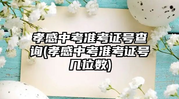 孝感中考準考證號查詢(孝感中考準考證號幾位數(shù))